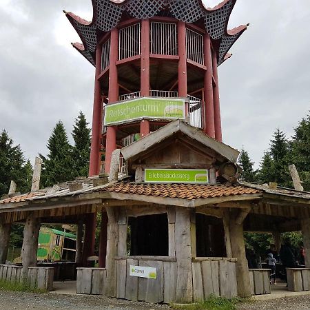 Ferienwohnung Harzlust Goslar Zewnętrze zdjęcie